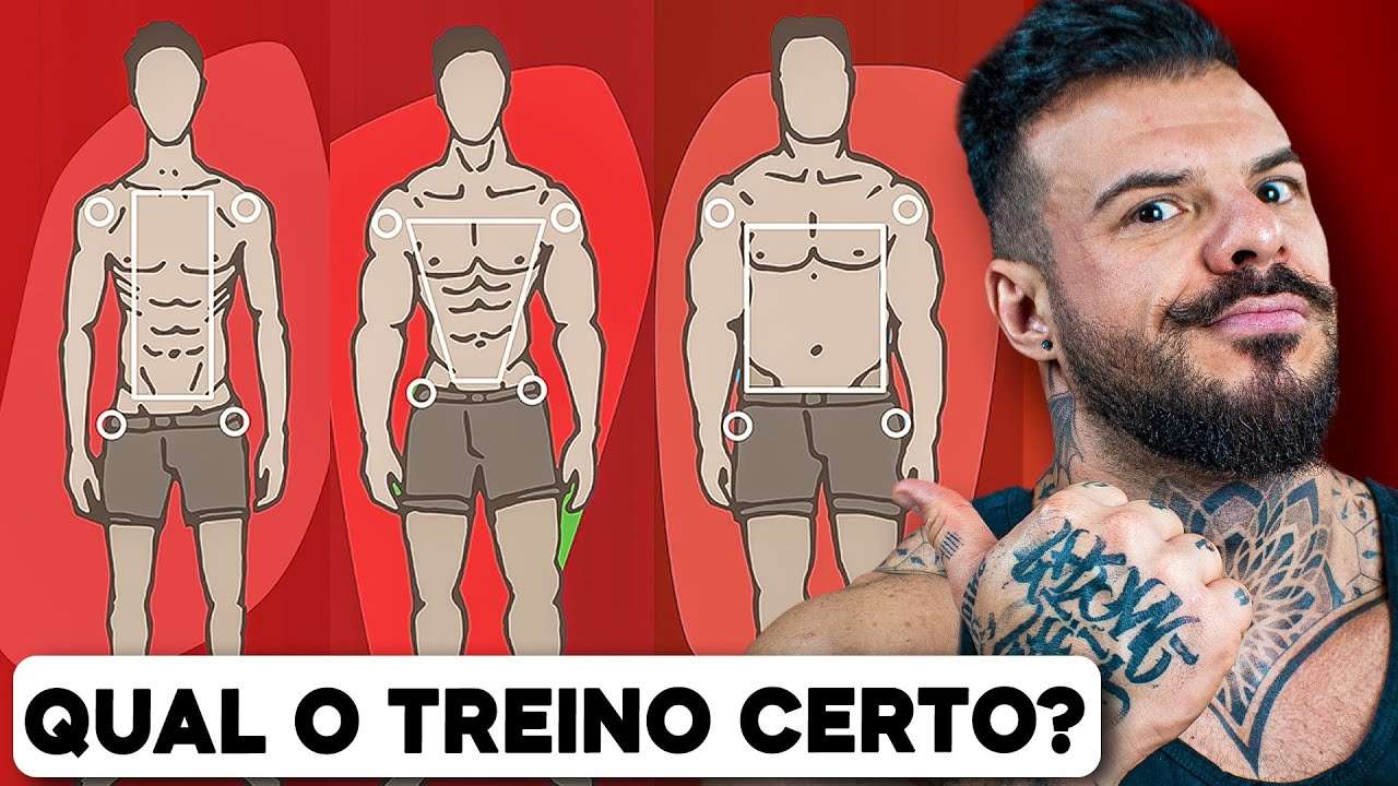 Qual Deve Ser O Treino Para Um Ectomorfo Endomorfo E Mesomorfo