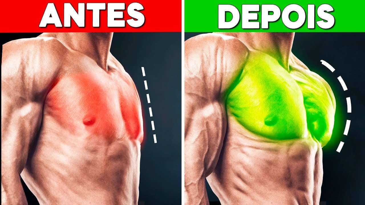 Os ÚNICOS 4 Exercícios Que Você Precisa no Treino de Peito