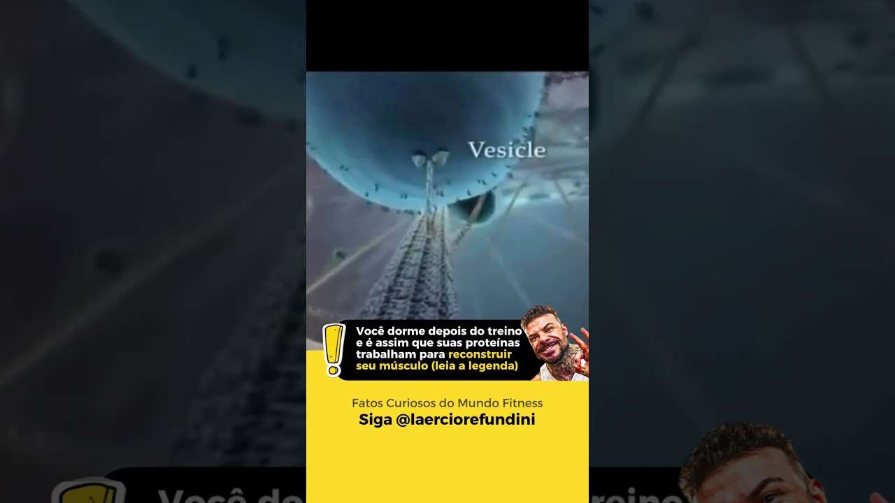 Enquanto você dorme, seus músculos crescem