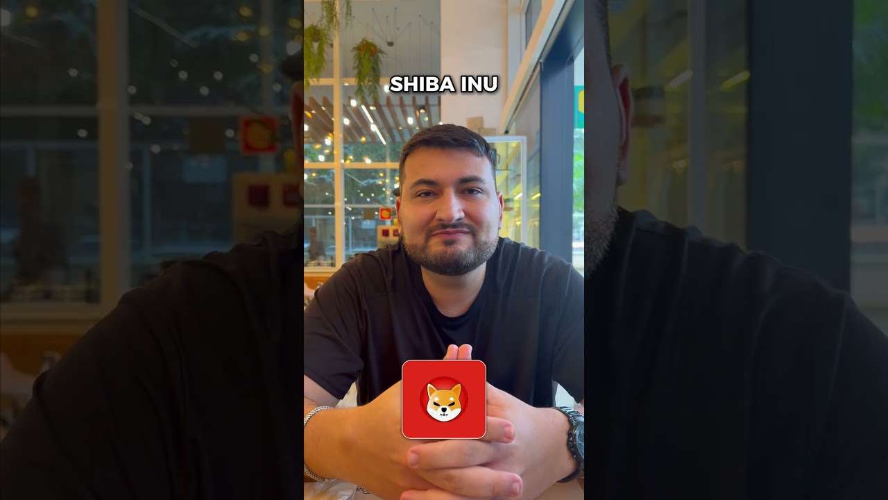 Você é bom ou péssimo investidor?