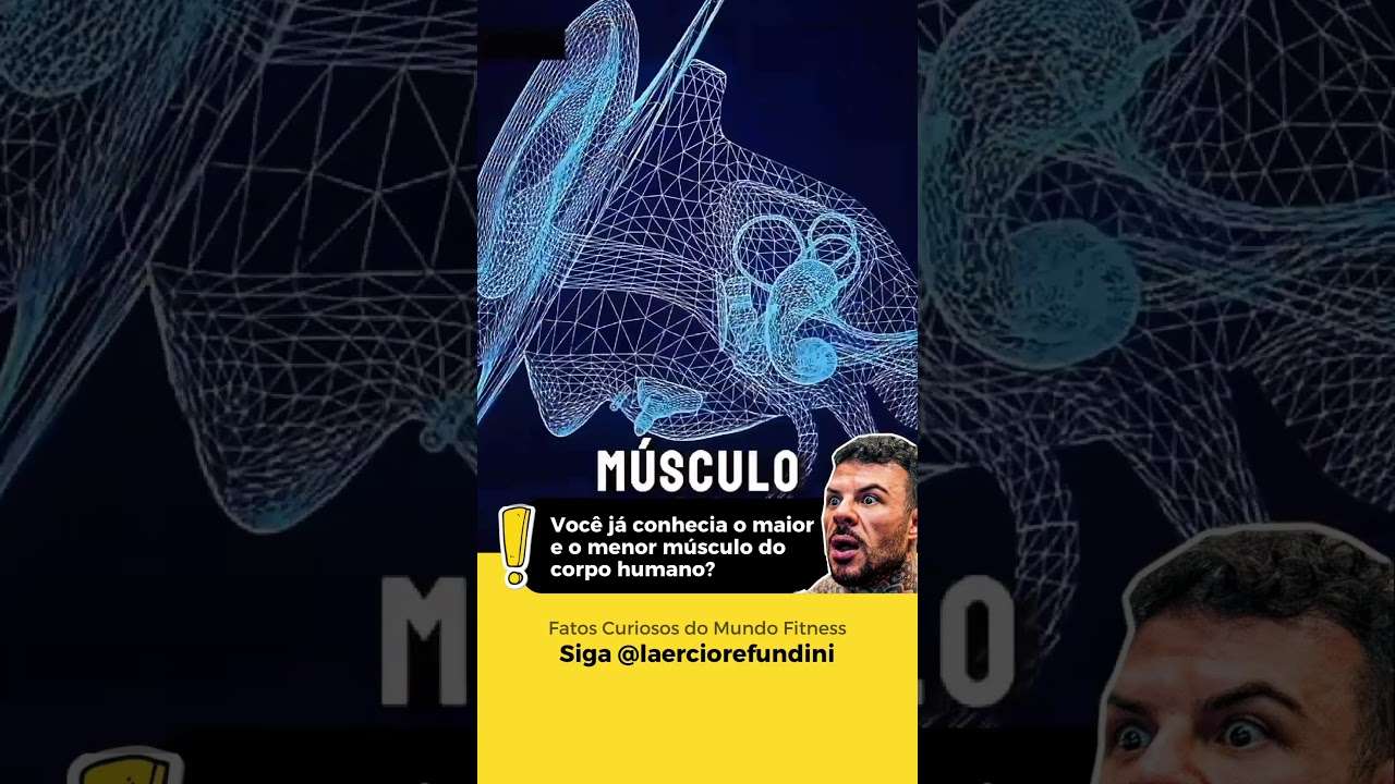 O Maior e o Menor Músculo do Corpo Humano! 😱