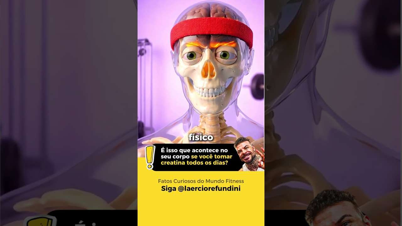 Creatina  o que acontece no corpo desde o dia 1
