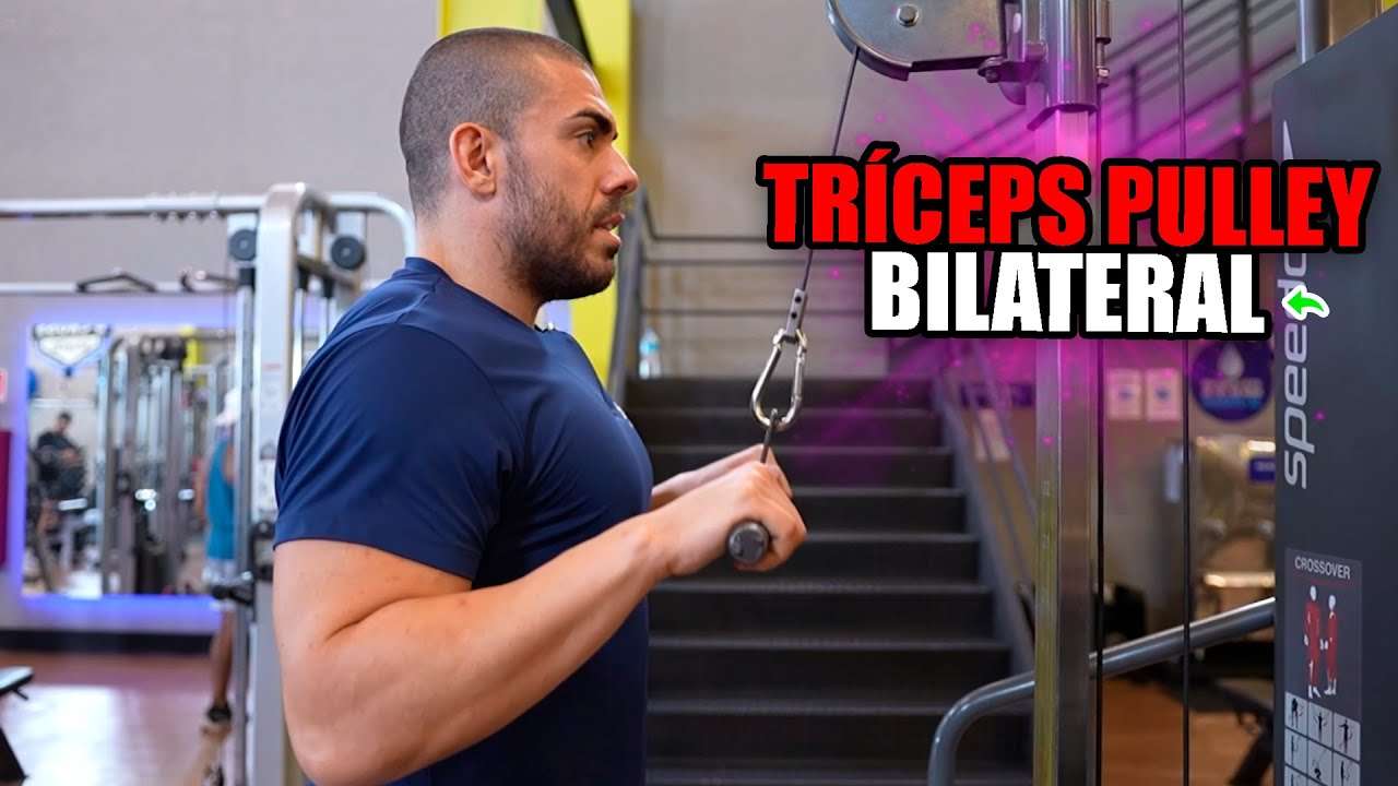 Como fazer tríceps pulley bilateral