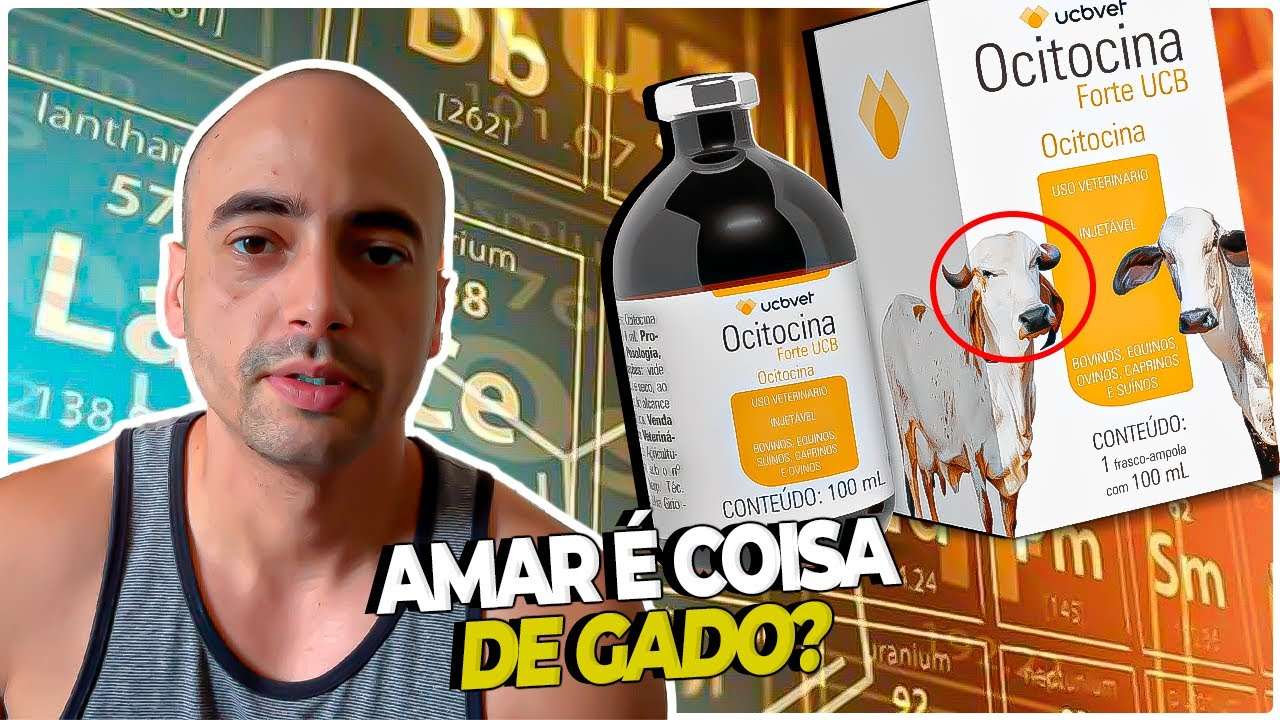 O Capital Moral e o Capital Erótico na Produção de Ocitocina