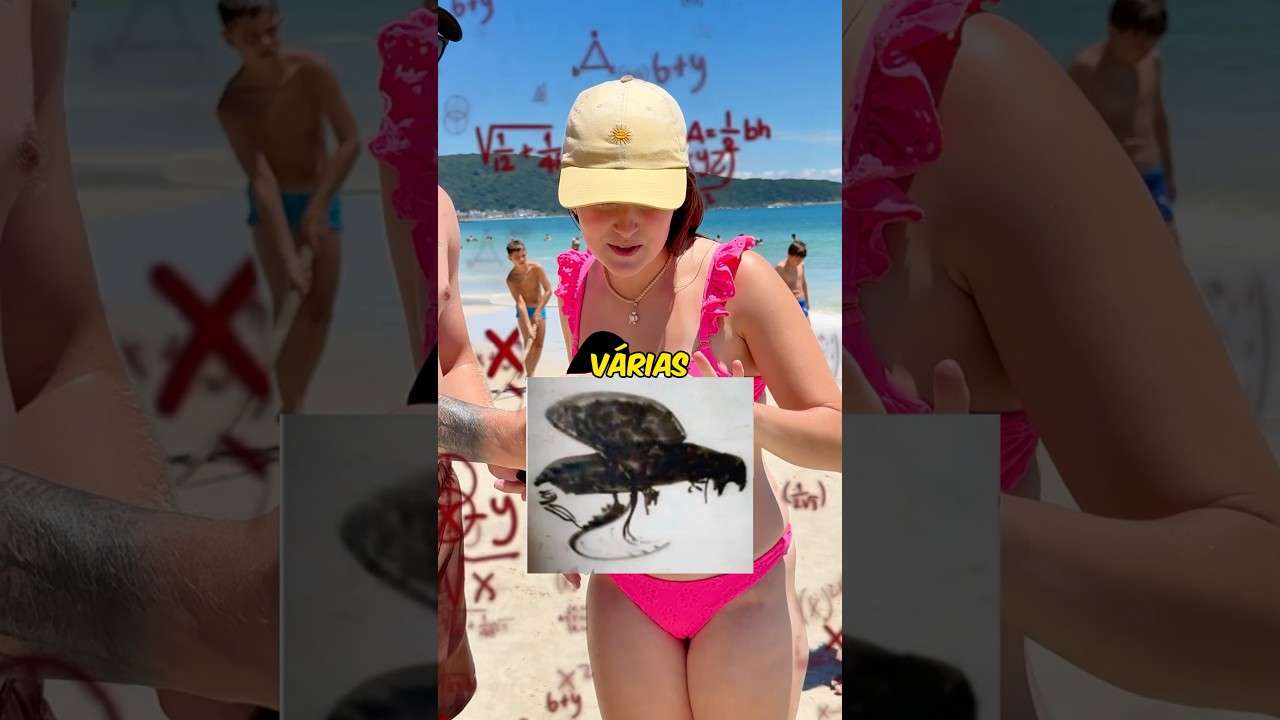 O que você vê? #shorts