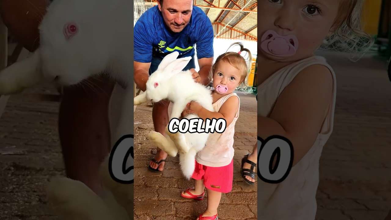 Qual o valor do seu Coelho? #entrevista #agro #fazenda #coelho #animais #viral