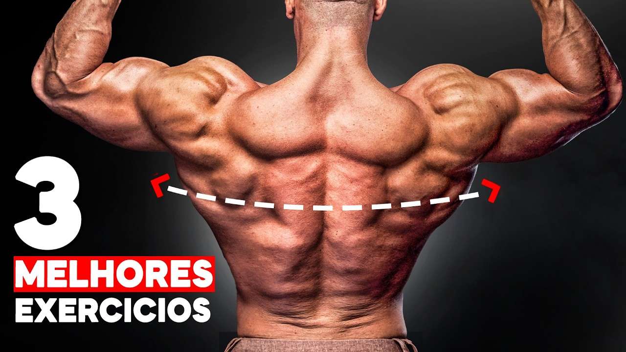 Os ÚNICOS 3 Exercícios Que Você Precisa Para Ter Costas Grandes