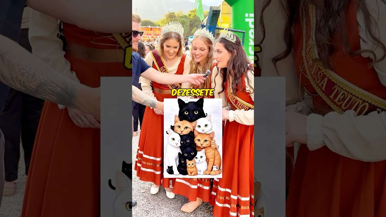 Quantos gatos tem na imagem? #dinheiro #entrevista #pegadinha #shorts