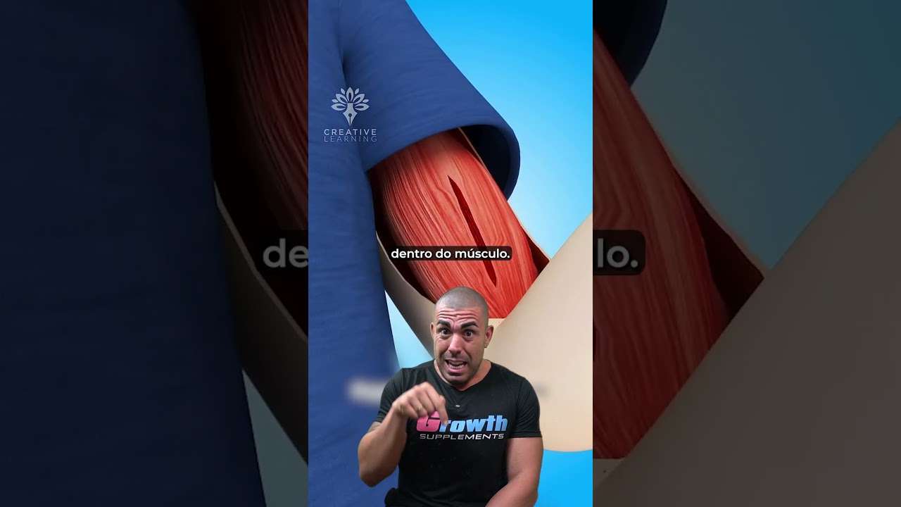 Como o músculo cresce? #shorts